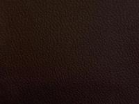 Time 500 Dark Brown